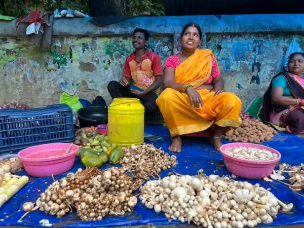 1000 रुपये प्रति किलो बिक रहा ‘टेक्नोस’, स्वाद के दीवाने बोले – इससे टेस्टी कुछ नहीं!