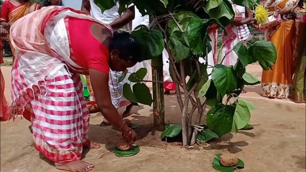 करमा पूजा 2025: प्रकृति और संस्कृति का पर्व, भाई-बहन के रिश्ते और फसल की समृद्धि से जुड़ी परंपरा